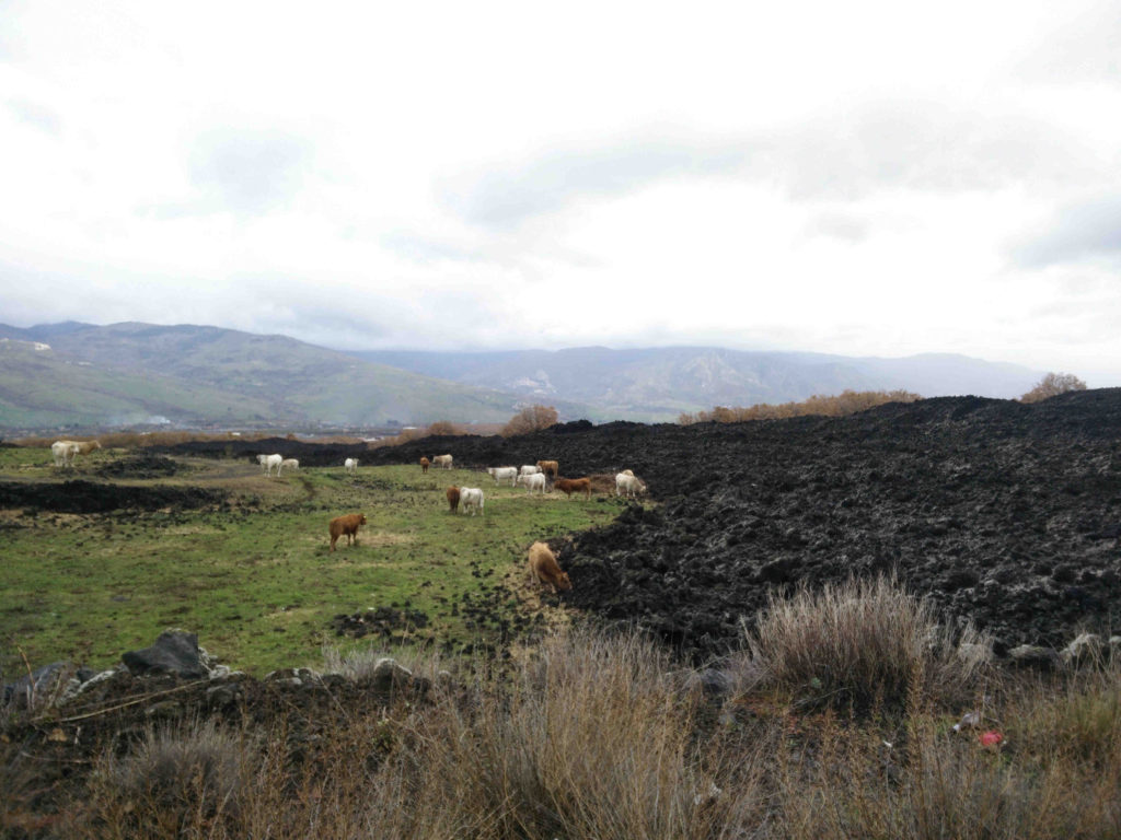 sicily mount etna lava