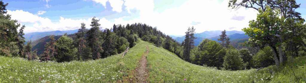 Hiking in Borjomi National Park, Georgia